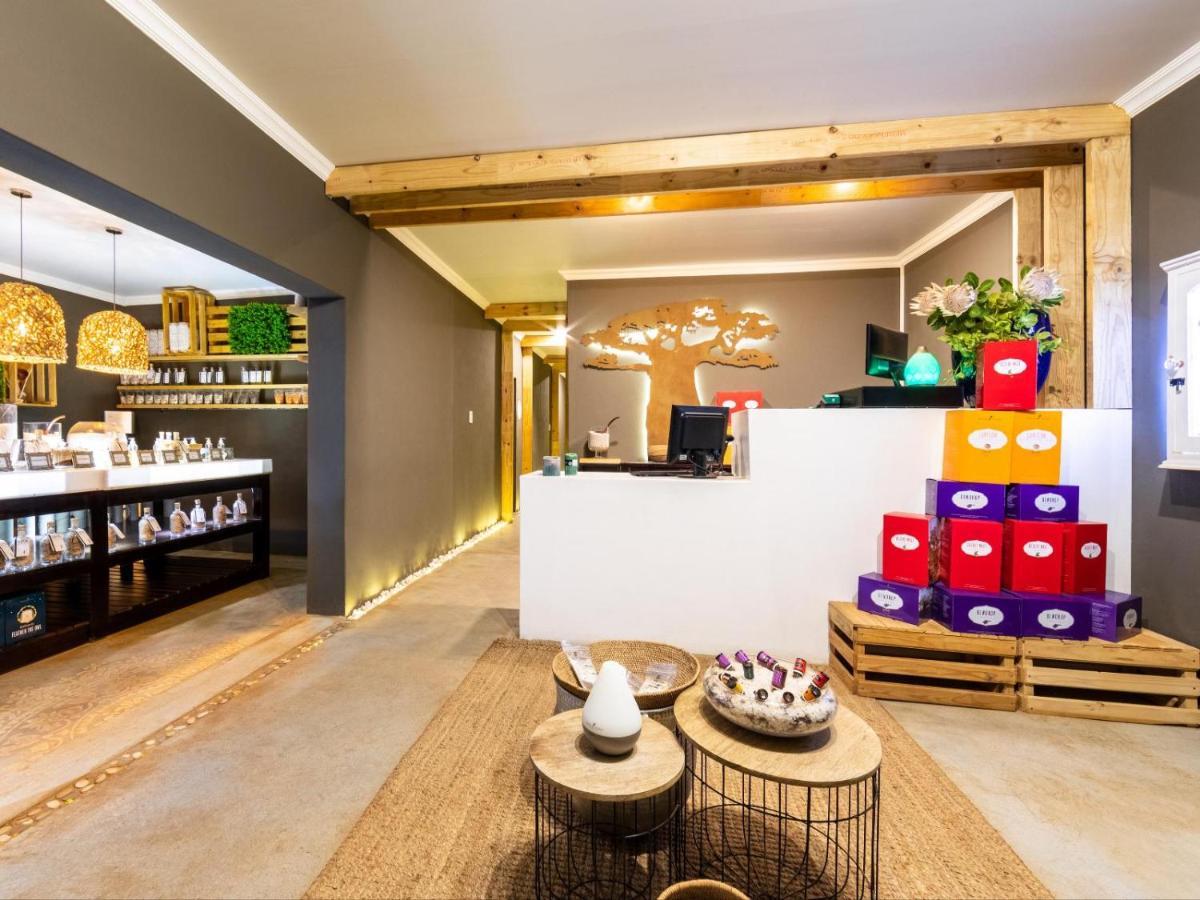 Royal Tree Guest House Potchefstroom Ngoại thất bức ảnh